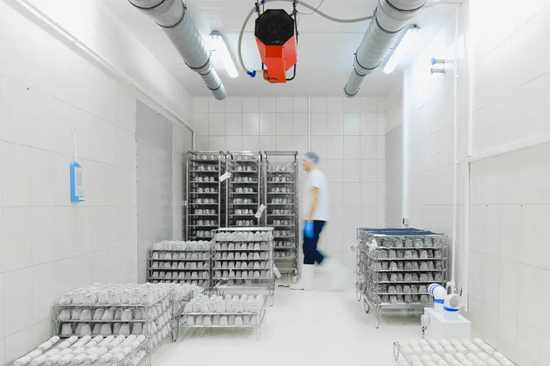 How Warehouse Climate Silently Undermines Your Shrink Wrap Performance